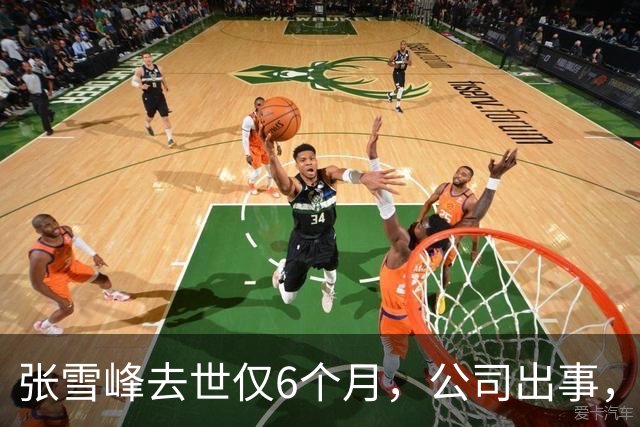张雪峰去世仅6个月，公司出事，武亮“转移财产”只是冰山一角
